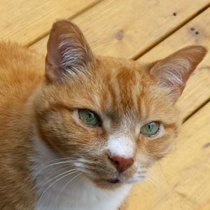 Meet your Posher, Jesse